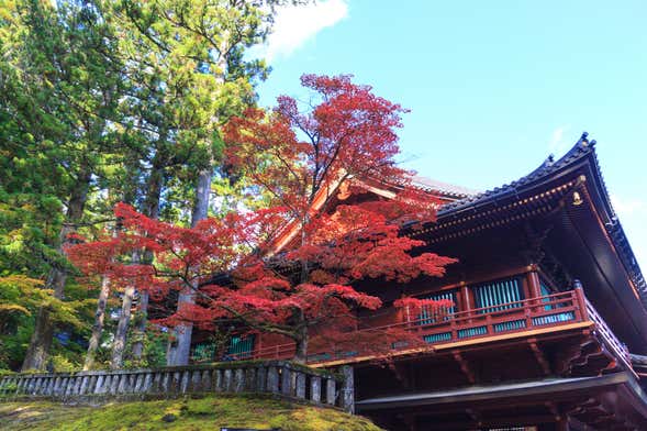 Nikko World Heritage Area Pass