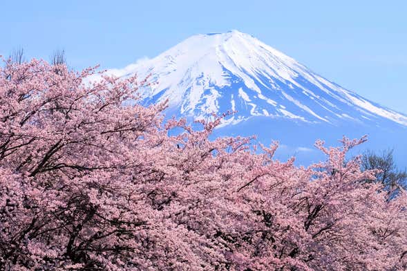 Excursão ao monte Fuji e ao lago Ashi