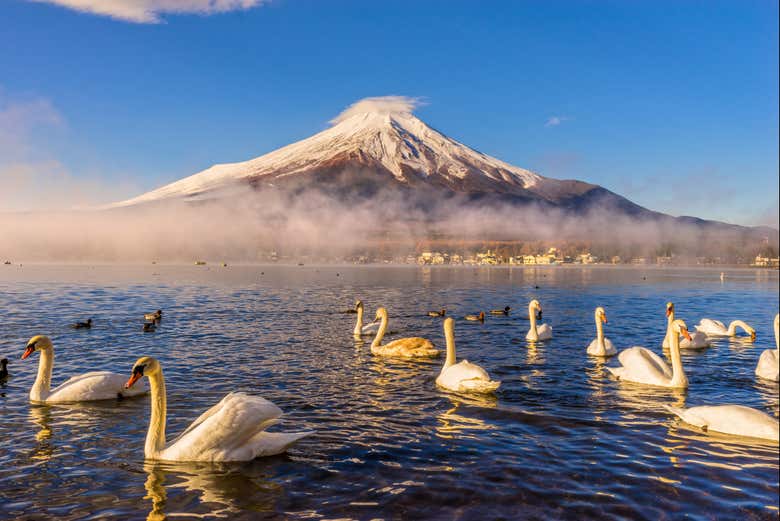 Paisagens naturais do Monte Fuji