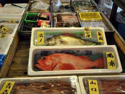 Mercado de Peixe de Tóquio