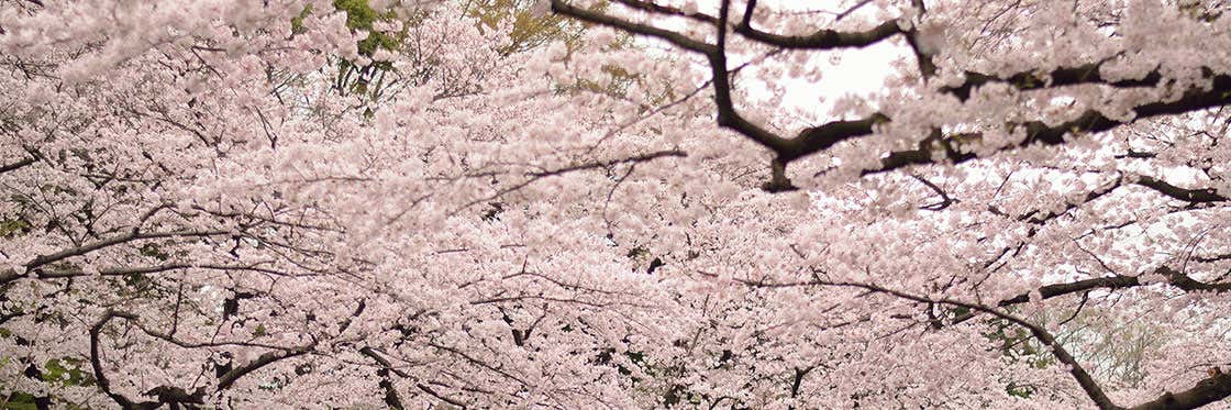 Parque Ueno